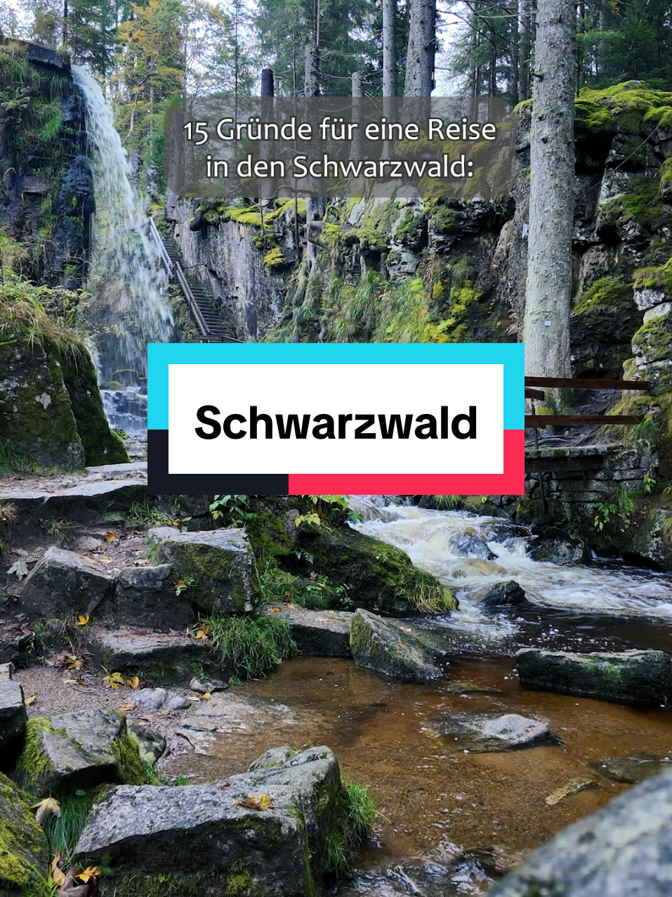 @Am Puls der Natur