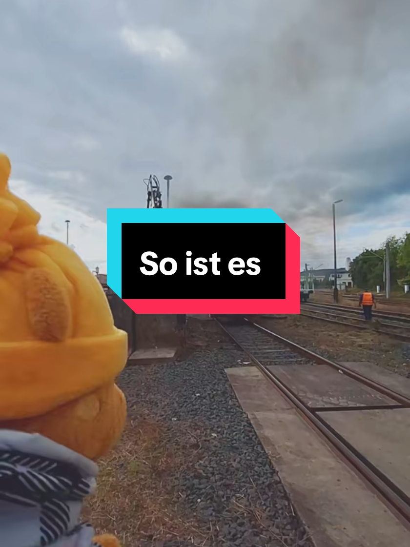 @Frank"s Reisen TeamBrunoFrank