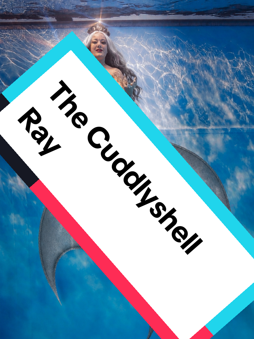 @Mermaid cuddlyshell 🧜&zwj;♀️