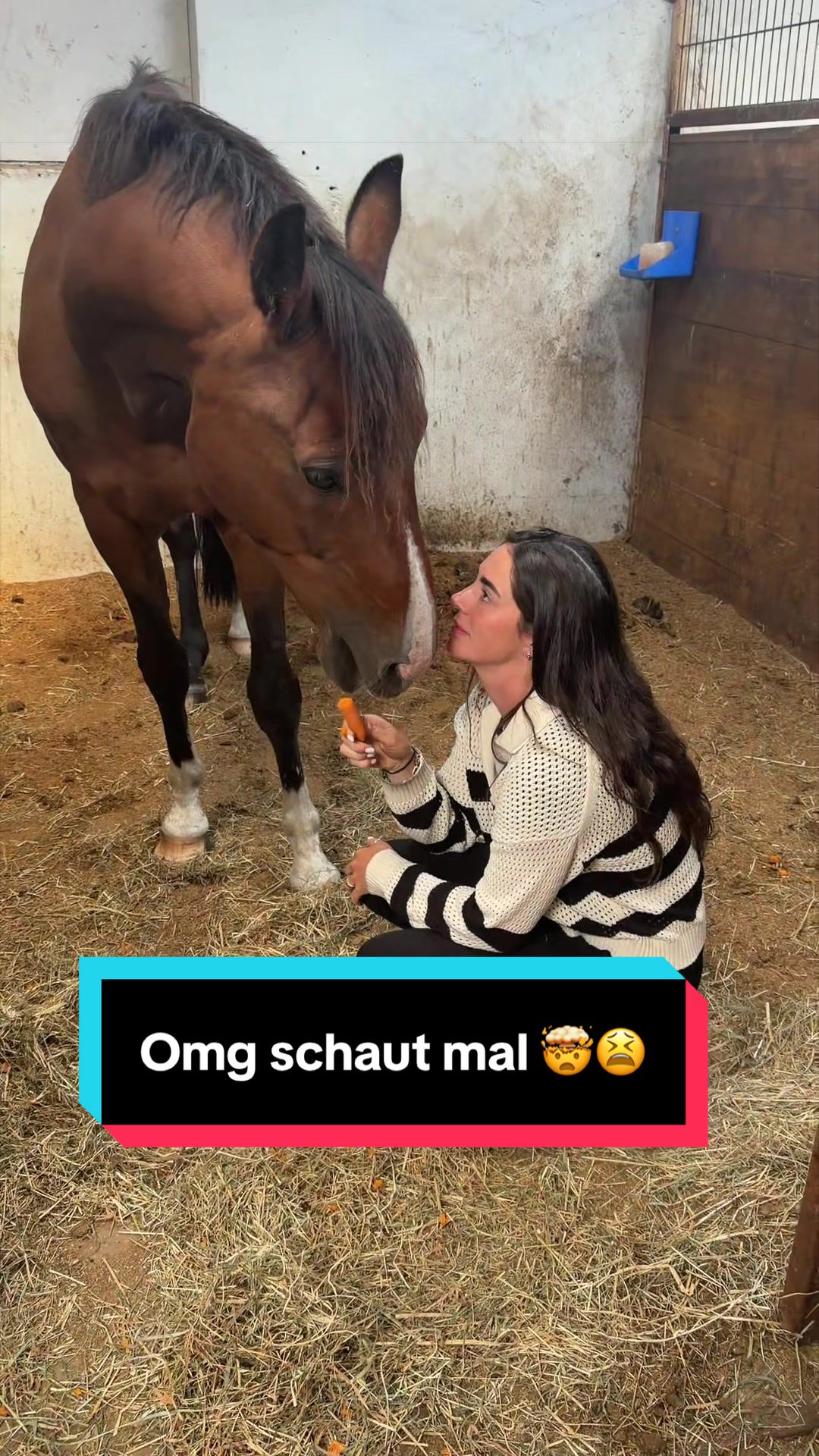 @Sophianinette