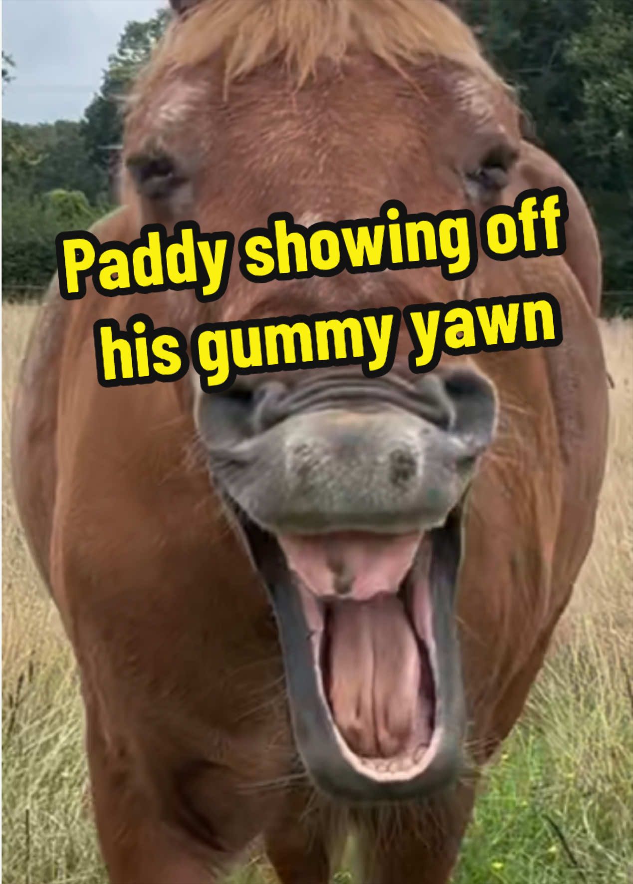 @Becky Evans444