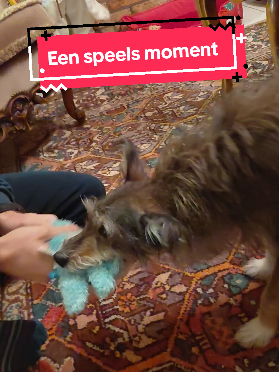 @Safrina's wereld