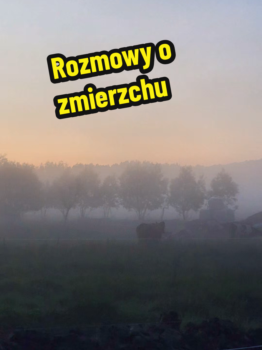 @Ania z Bieszczadzkiej Hecy🇵🇱