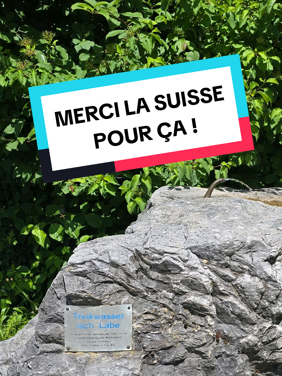 @Dan 🍄🟫 Le Champologue