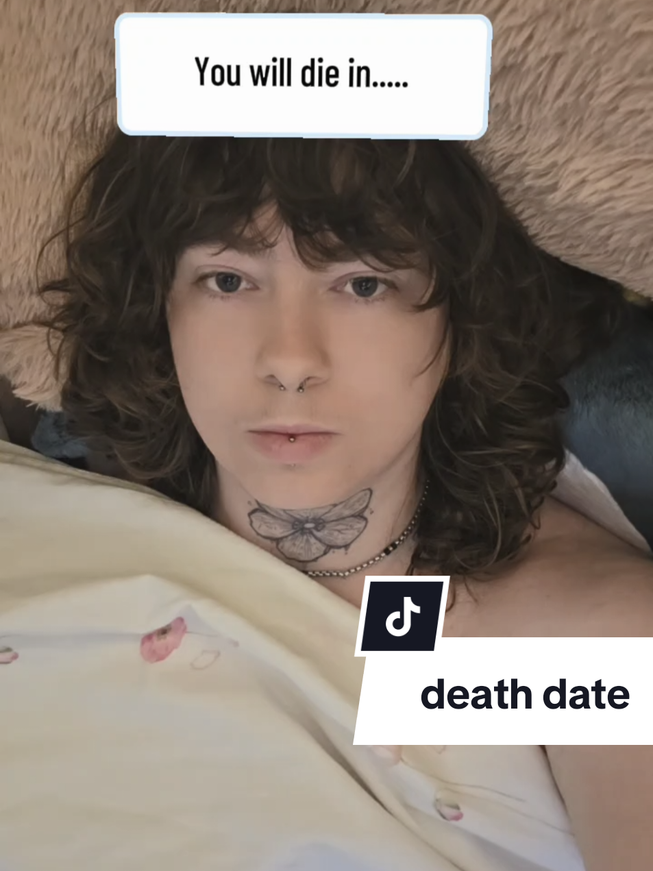 @onyx ᵕ̈