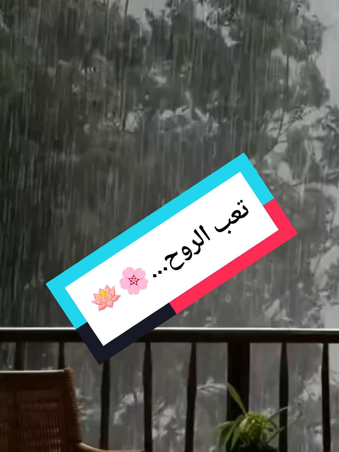 @صدى الصمت 🌸