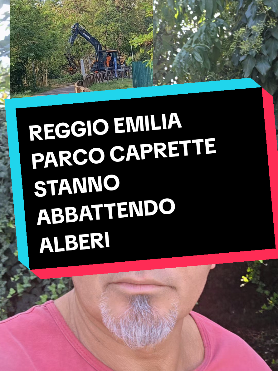 @Cristian Carbognani
