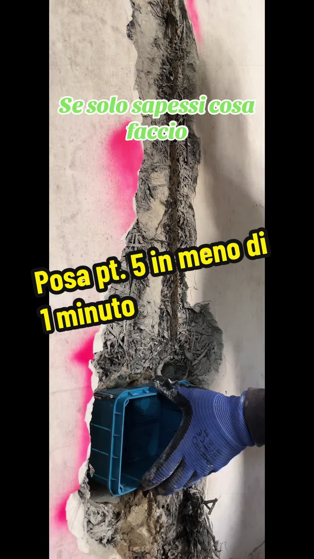 @Alessandro Cuomo ♌️