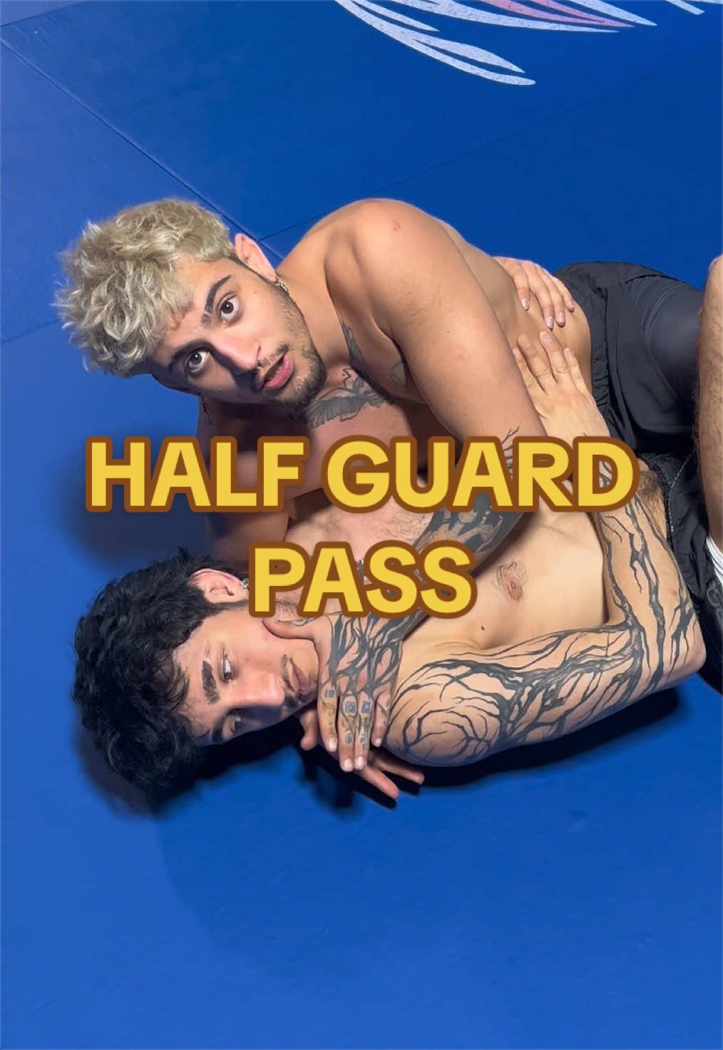 @Guidias_aal_dojo