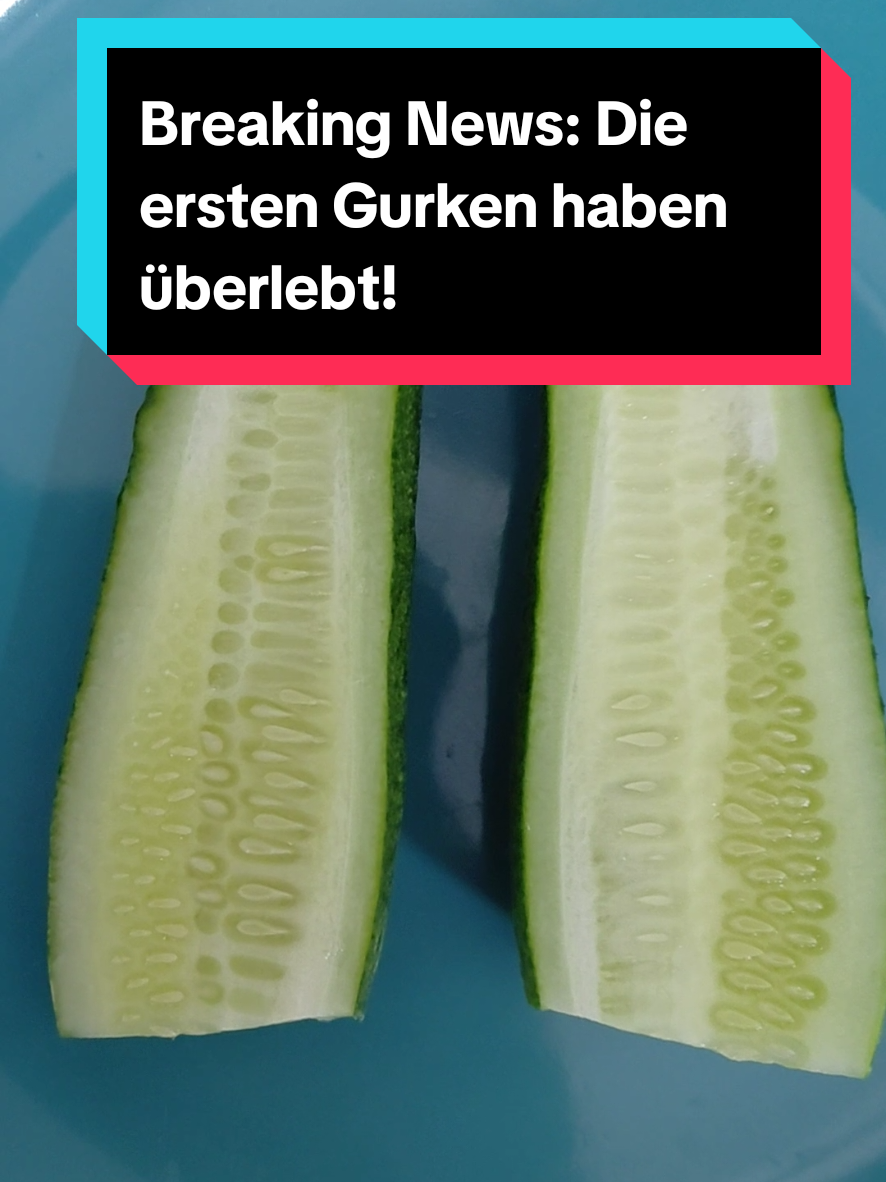 @Gartenchaos