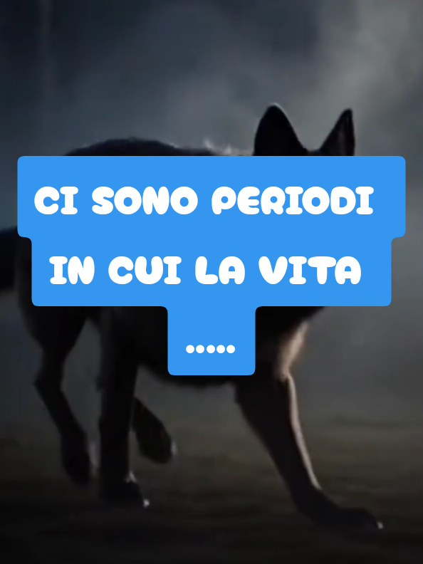 @ALESSANDRO_IL_ROMANO