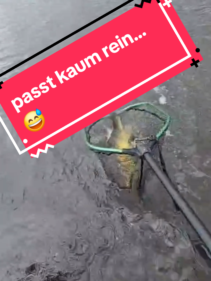 @Iron Claw_Fishing