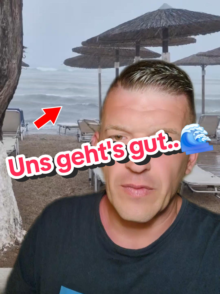 @andivibes_live