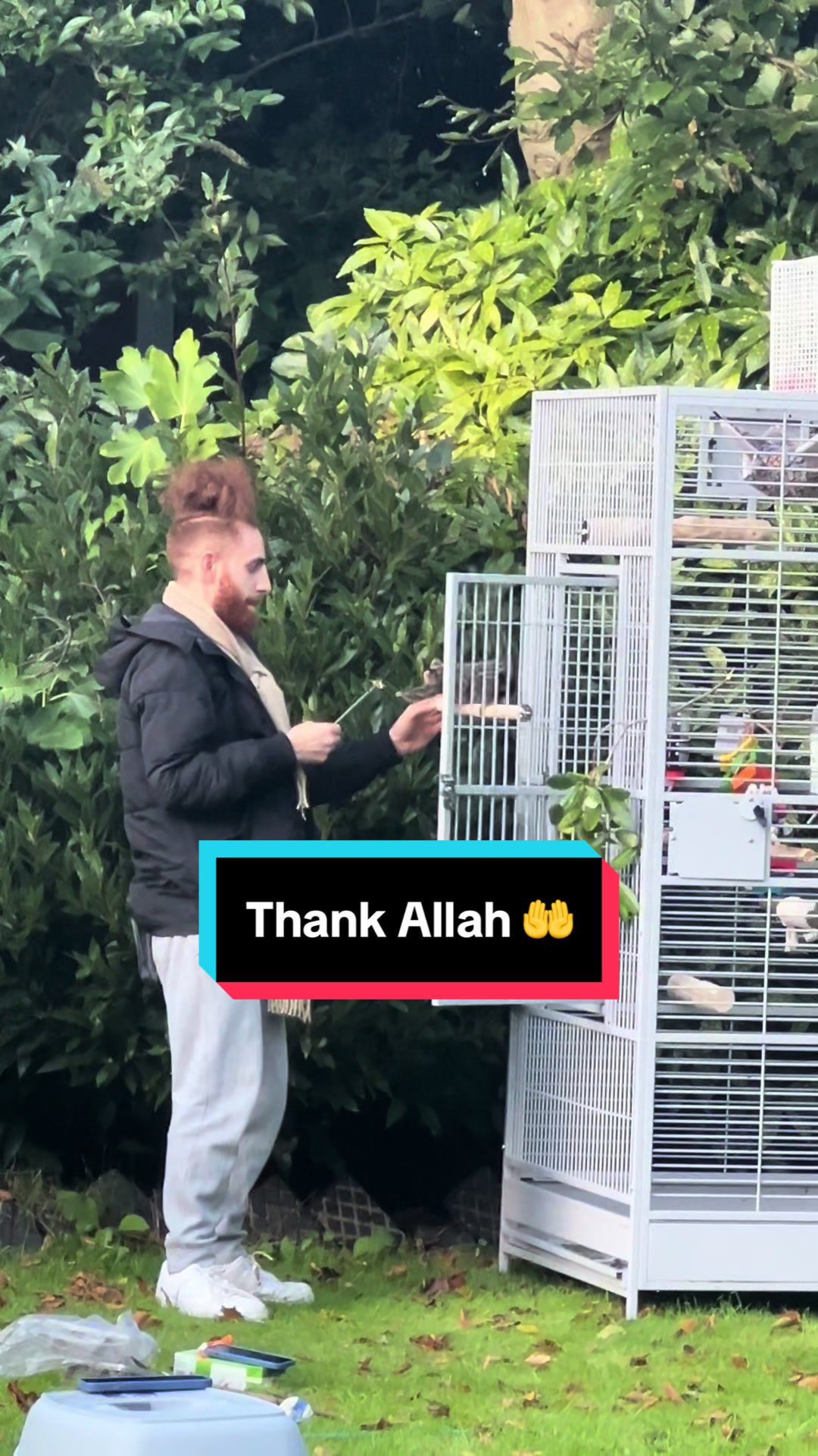 @Birdman🦅
