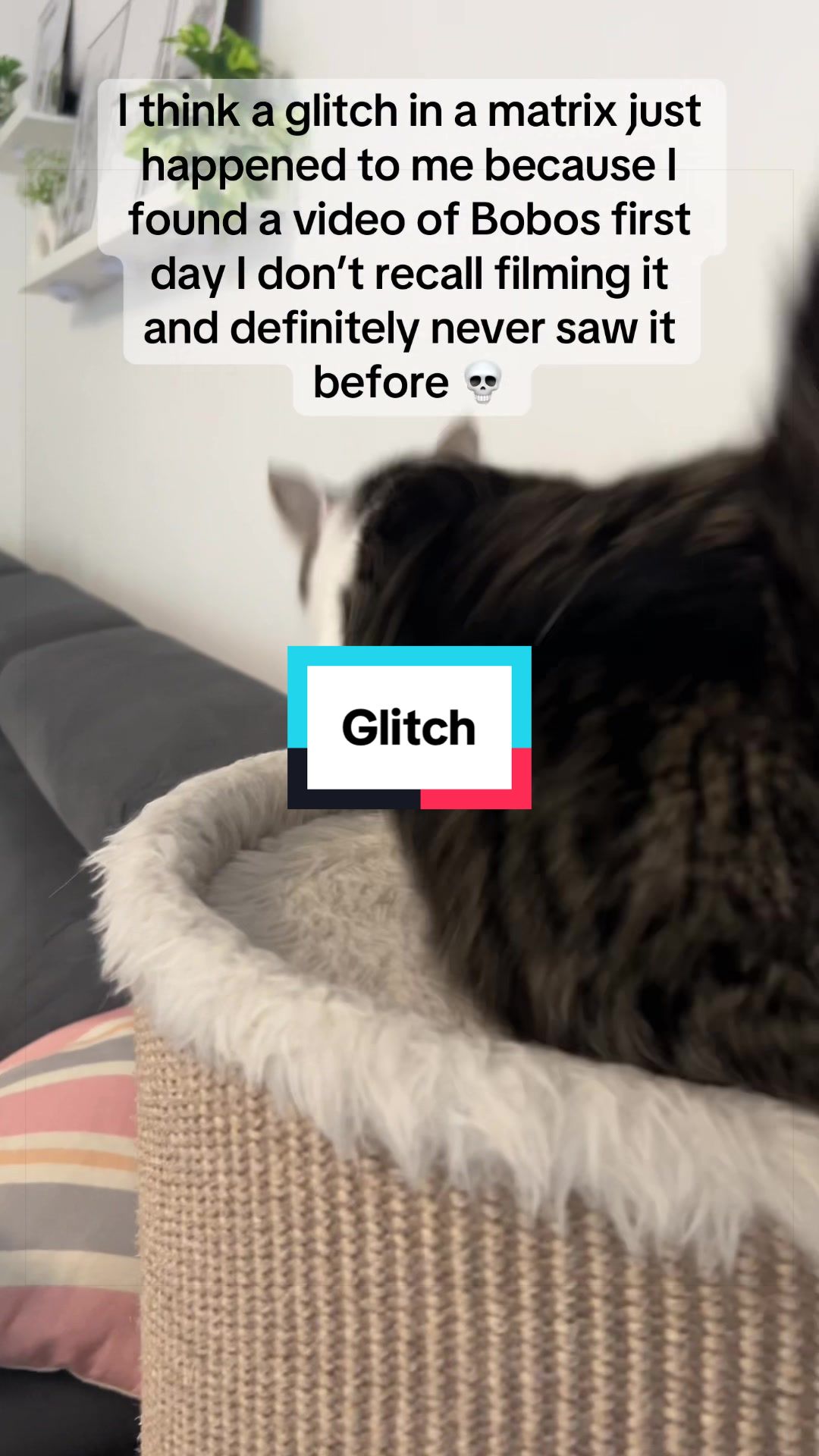 @Fibi & Bobo