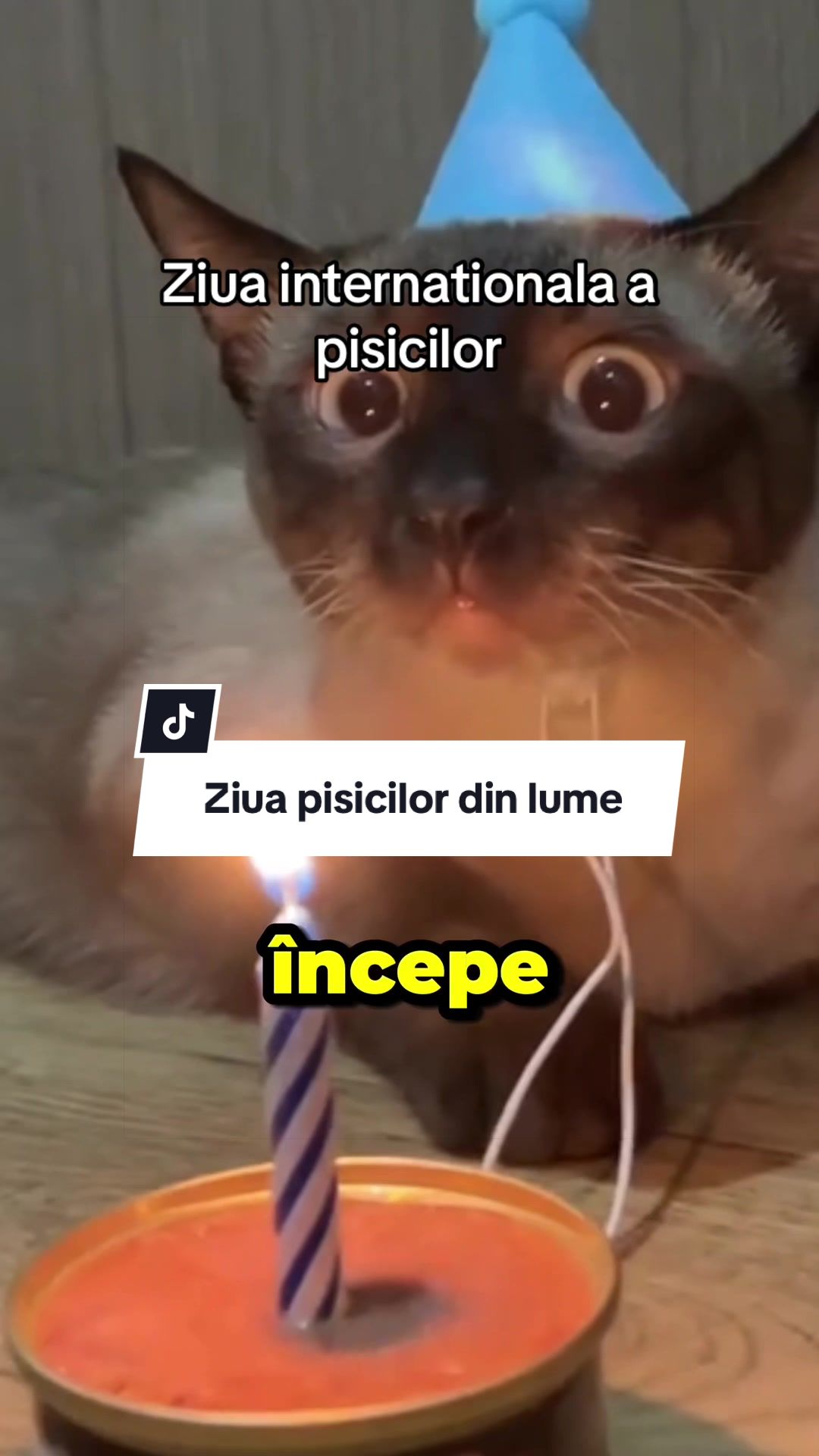 @CostiCuriosul