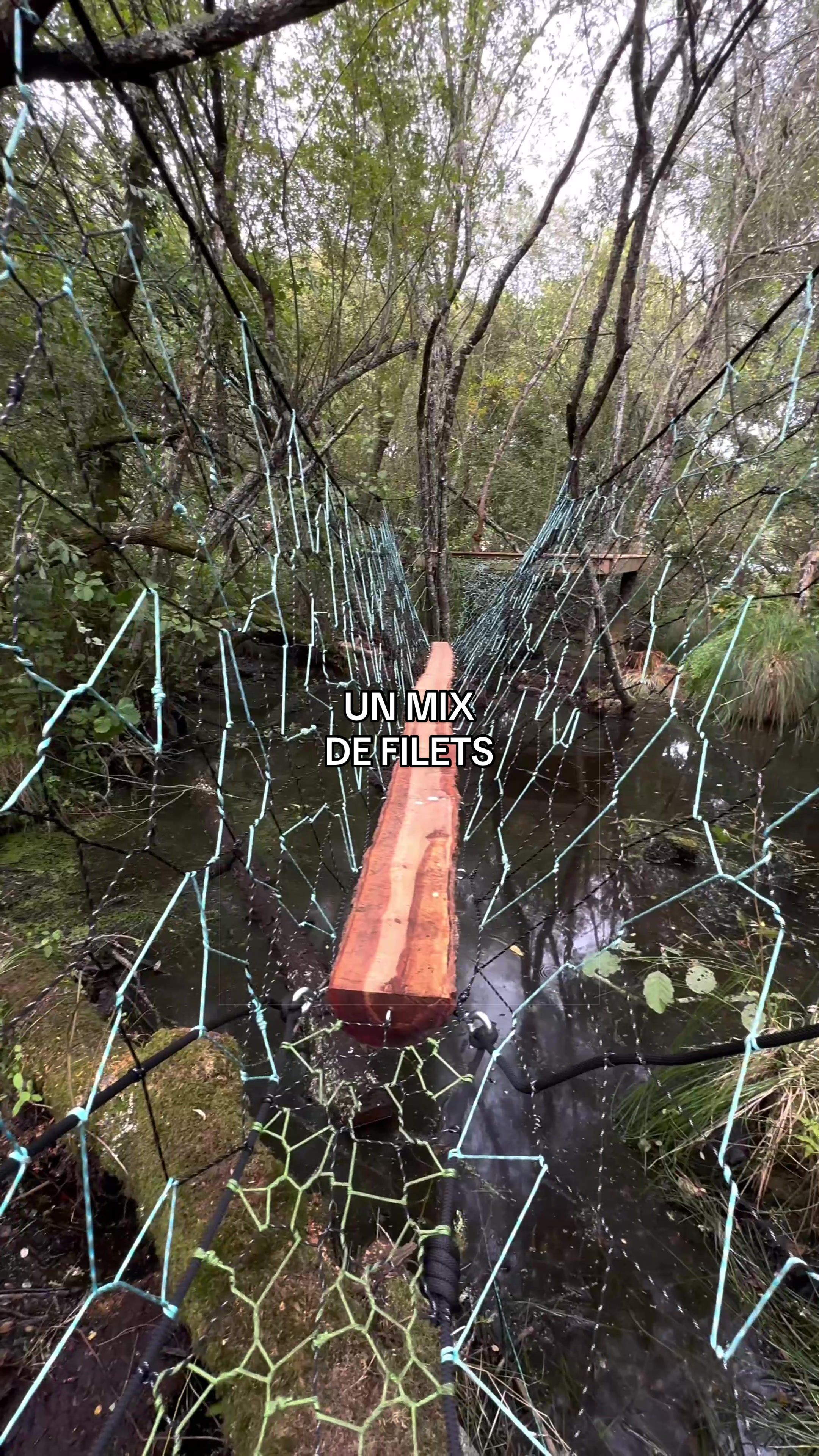 @Wildtreenet