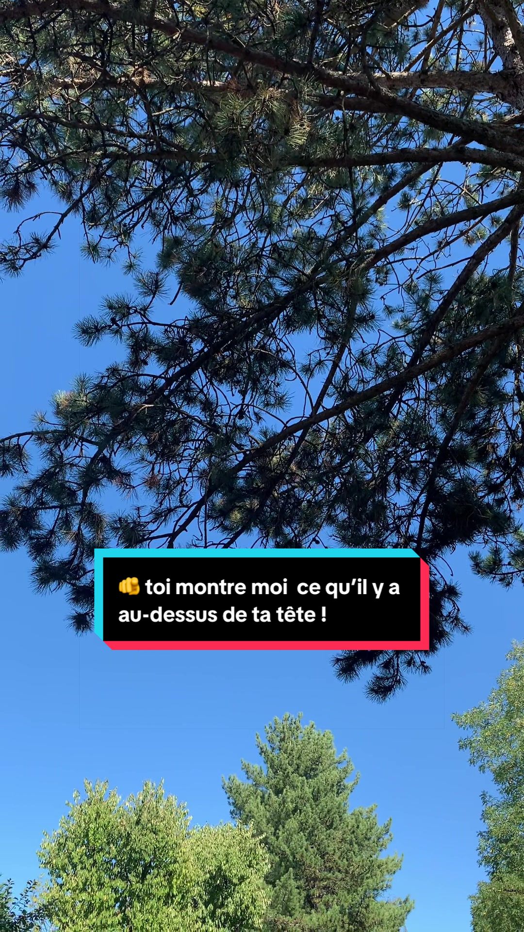 @Diana Torres