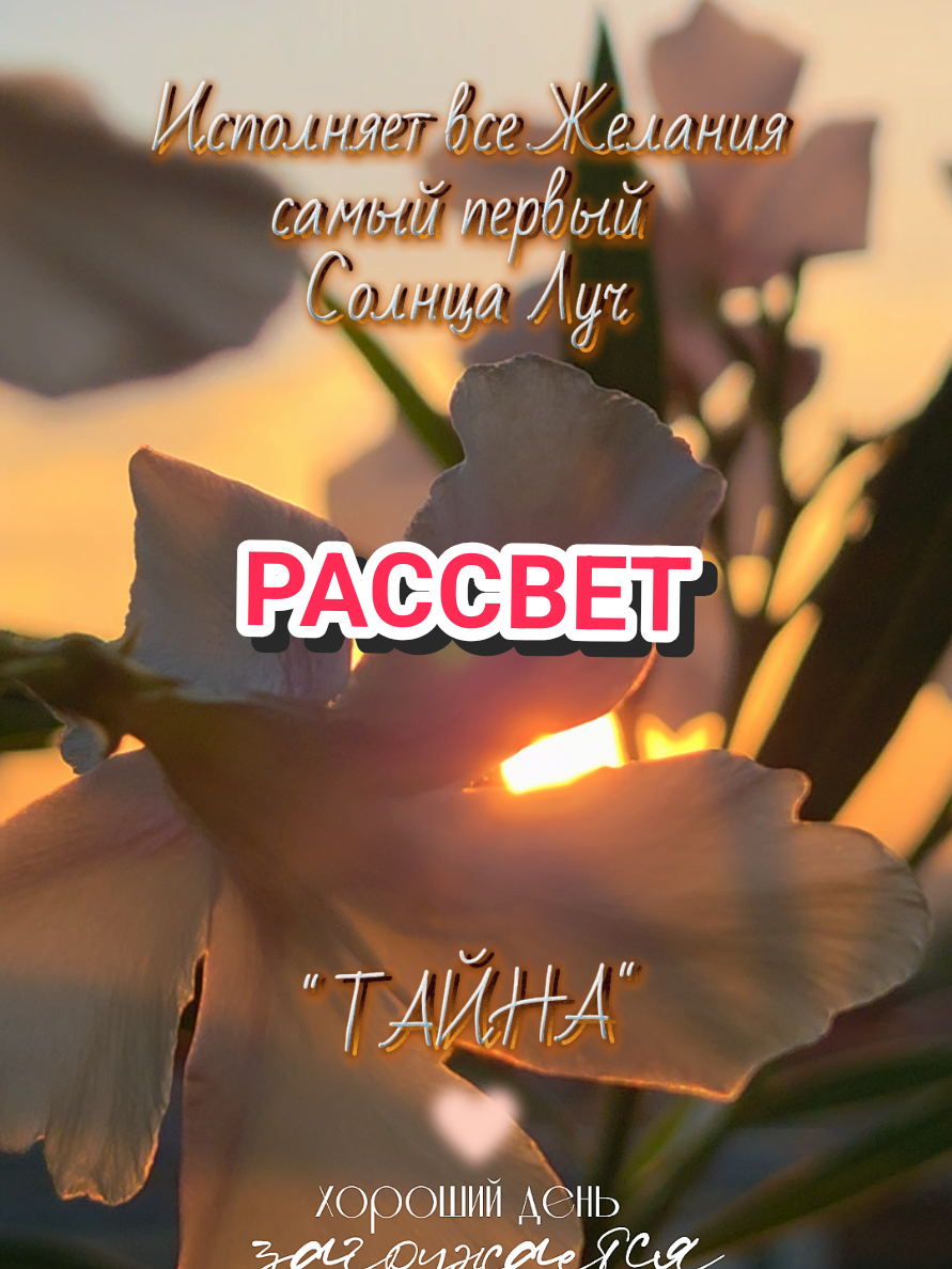 @✨Елена✨