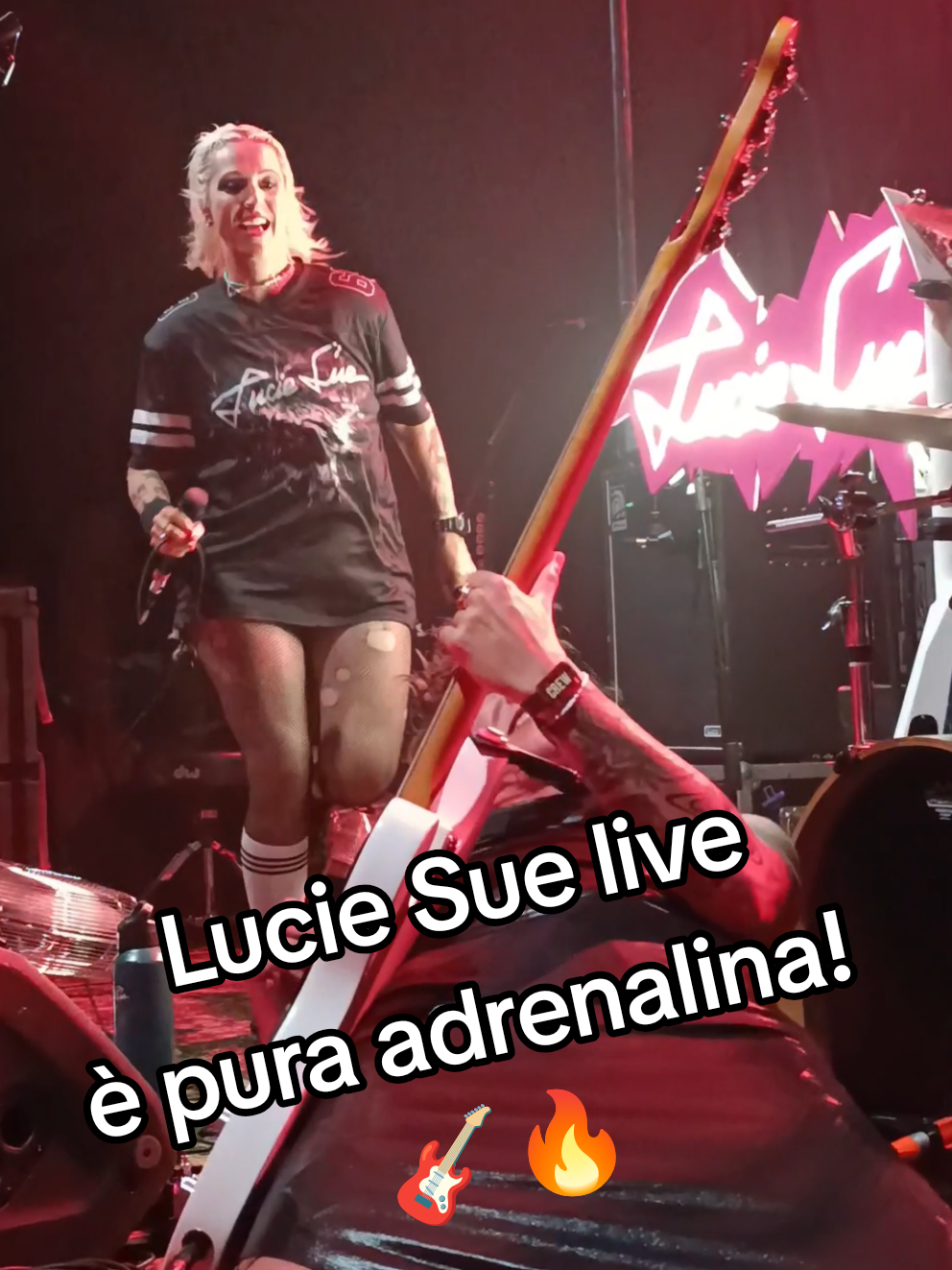 @ElyWheelchairGirl 🤟🏻💜