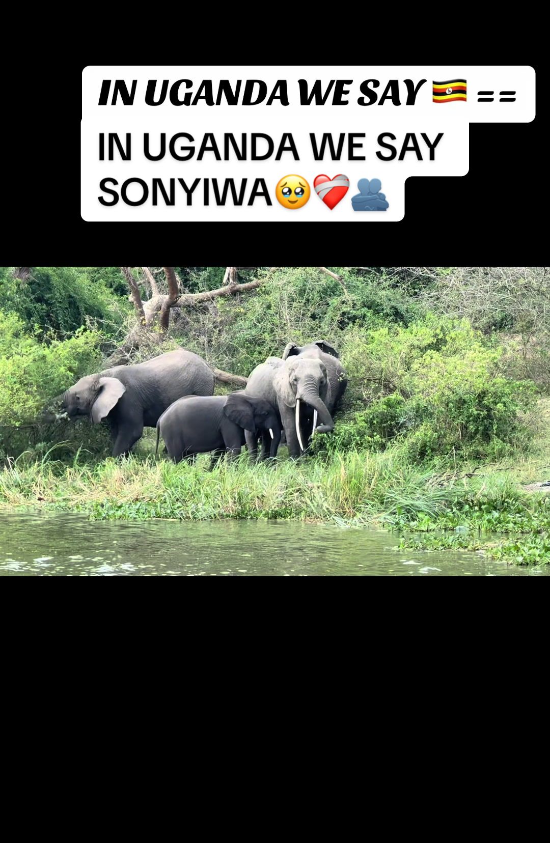 @ETRISS ADVENTURES&SAFARIS 🇺🇬