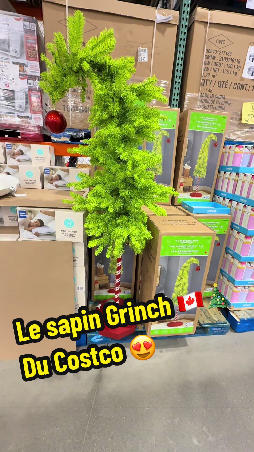 @Girlyalex83 🇨🇦