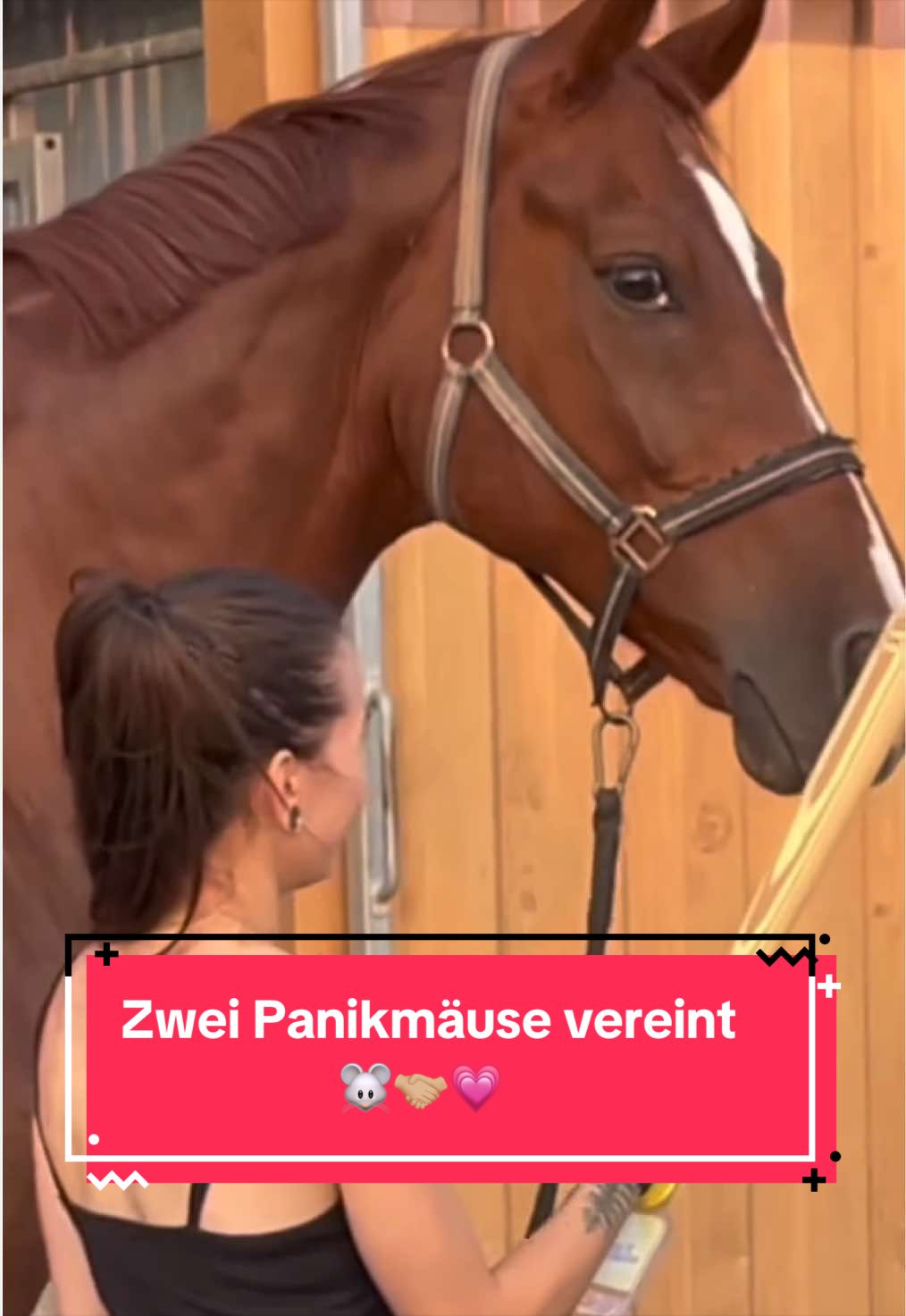 @Elisa & Samba ♡