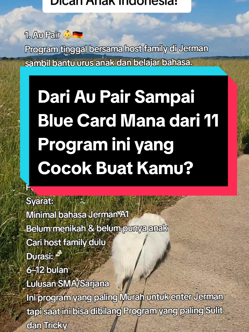 @INDRY's Diary🇮🇩🇩🇪