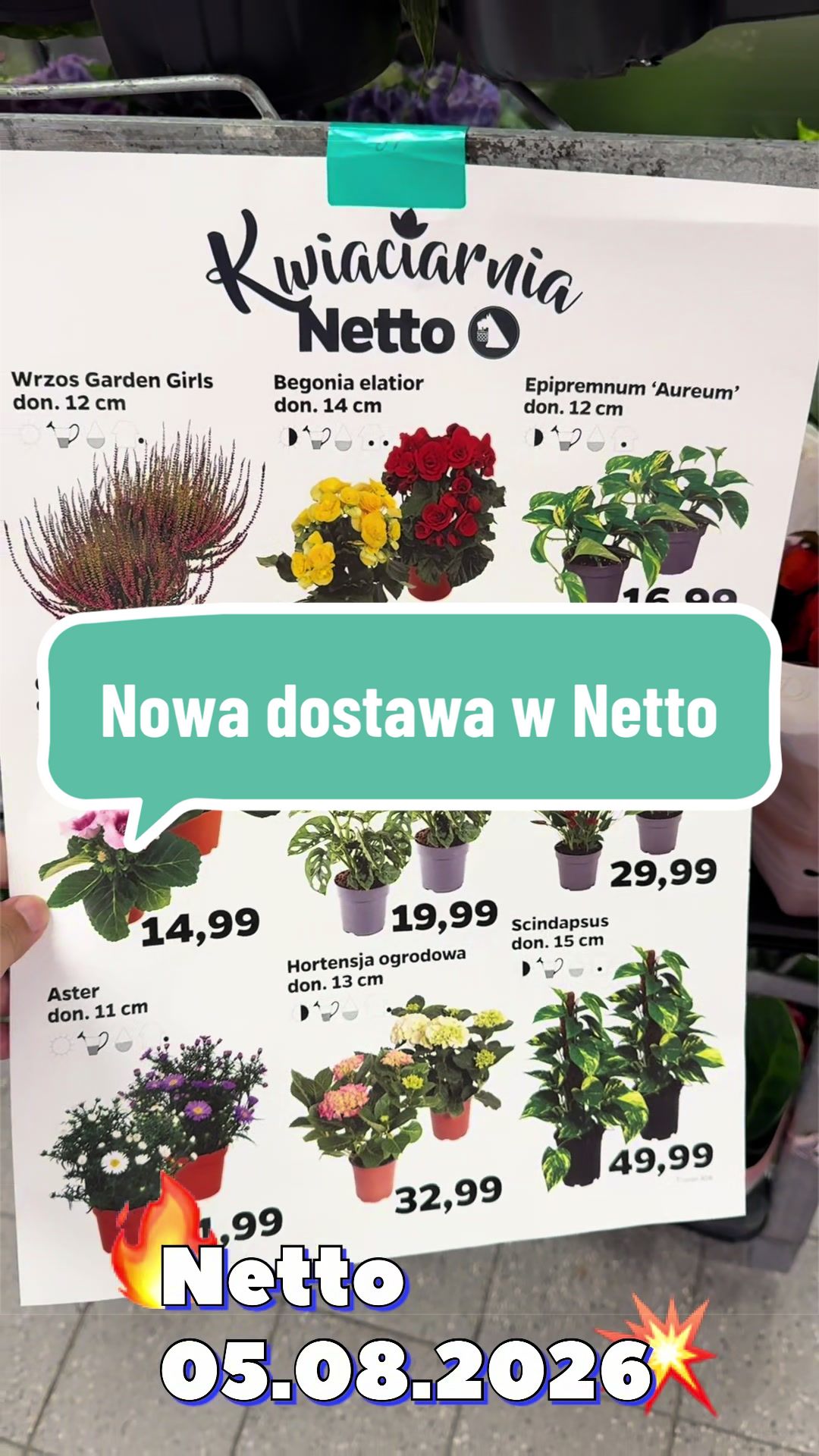 @maciej.plants