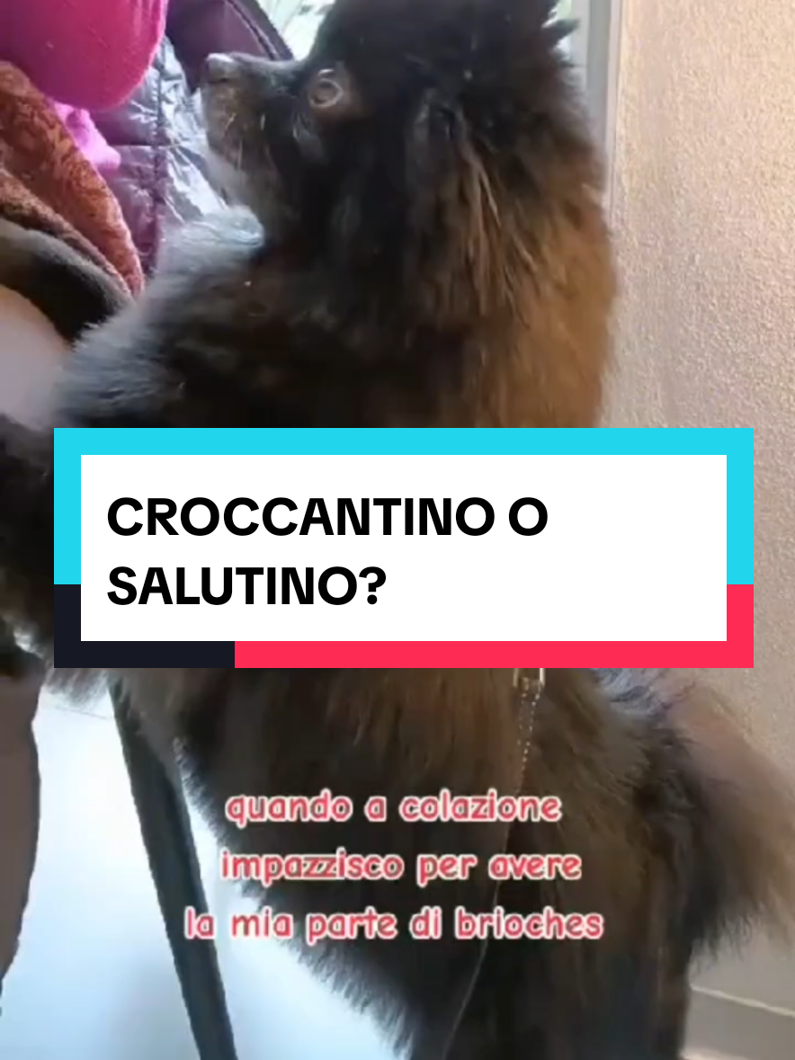 @Rita Tartaria