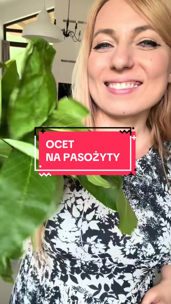 @zacznijodzdrowia.pl