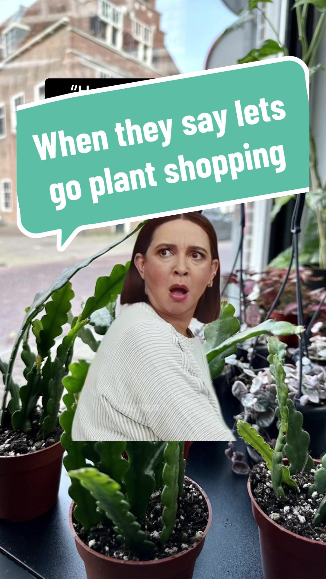 @BMBOplants