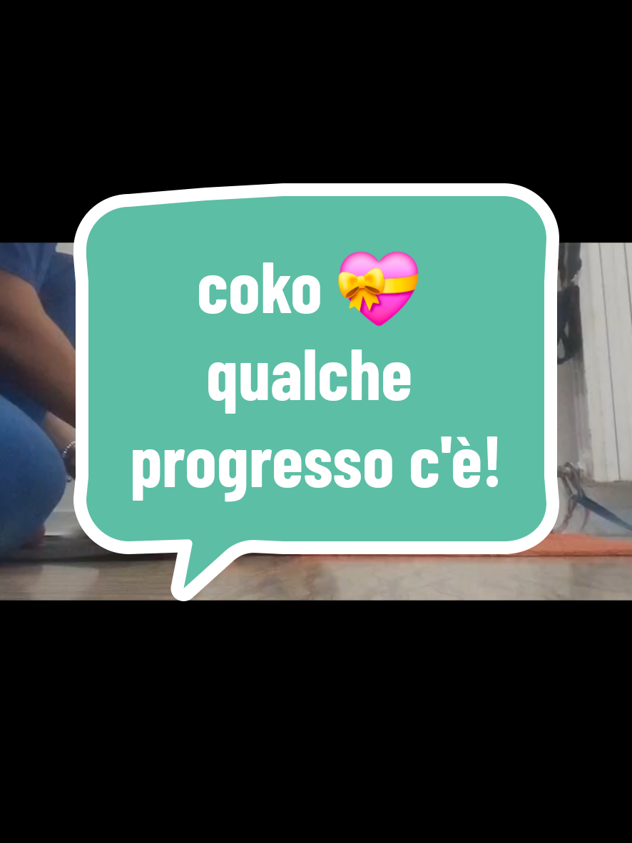 @Violettamarchigiana💖