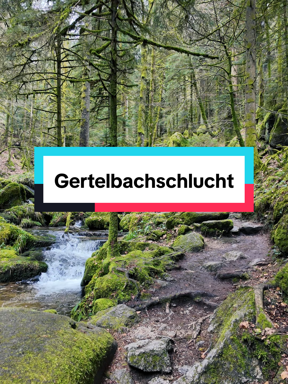 @Am Puls der Natur