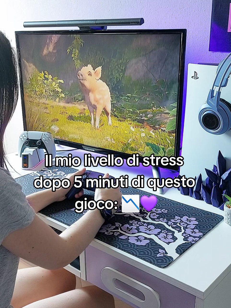 @Rin 🎮