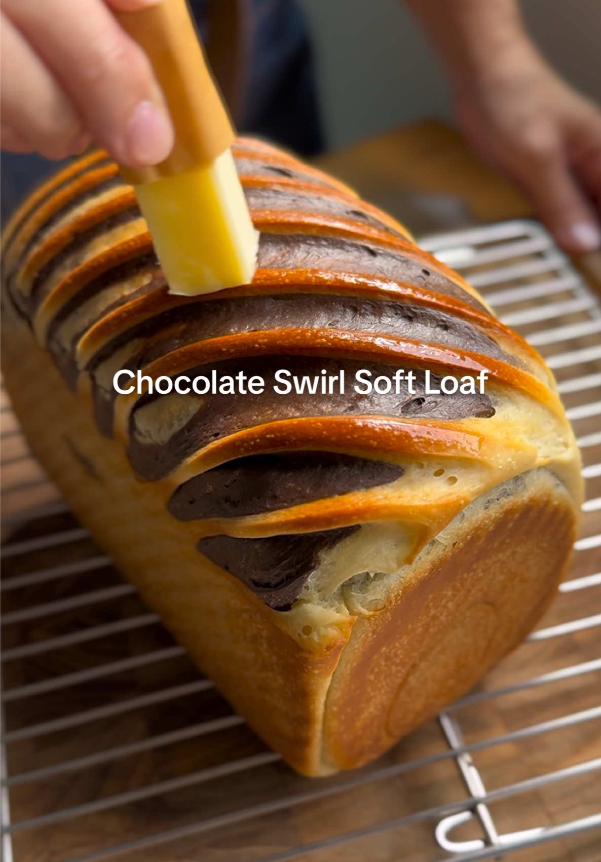 @Shebakesourdough