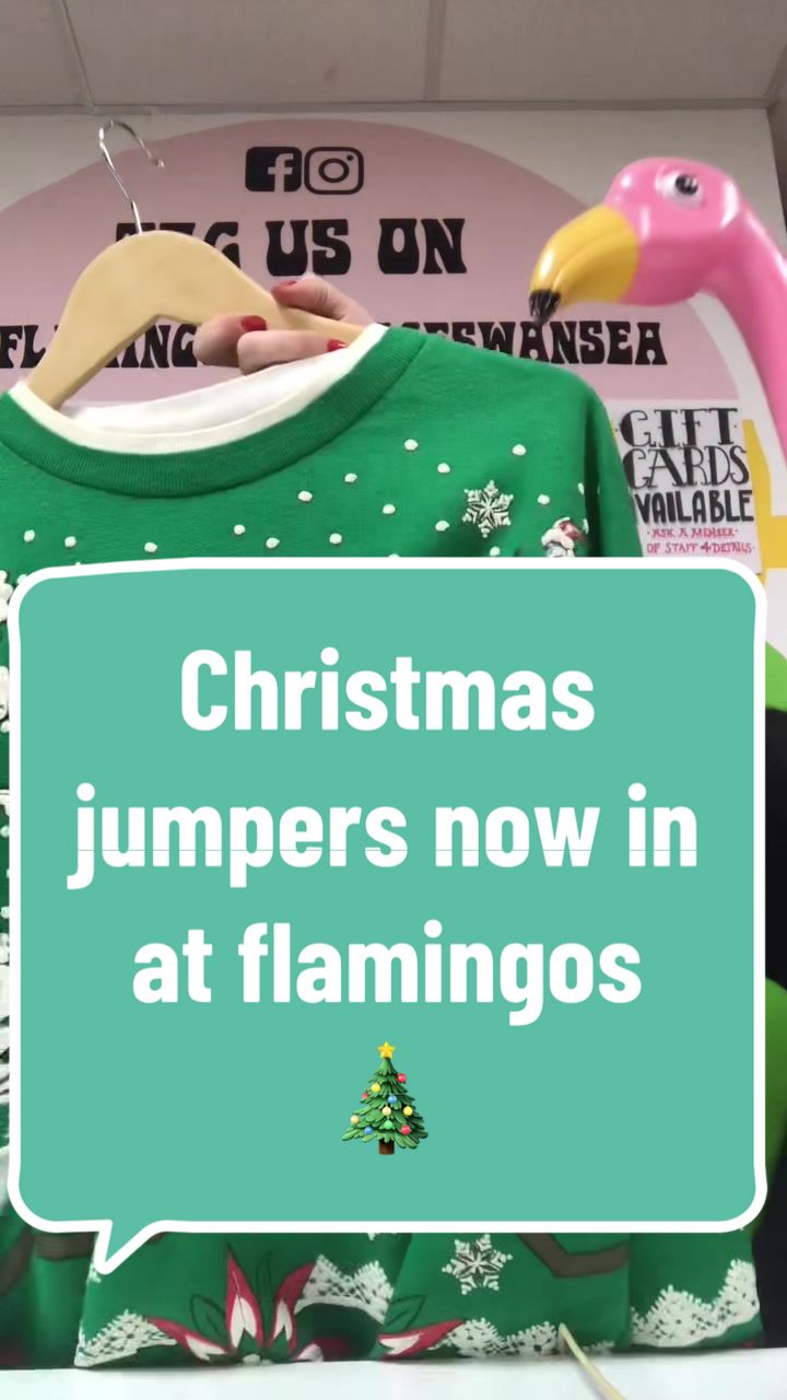@Flamingos Vintage Swansea