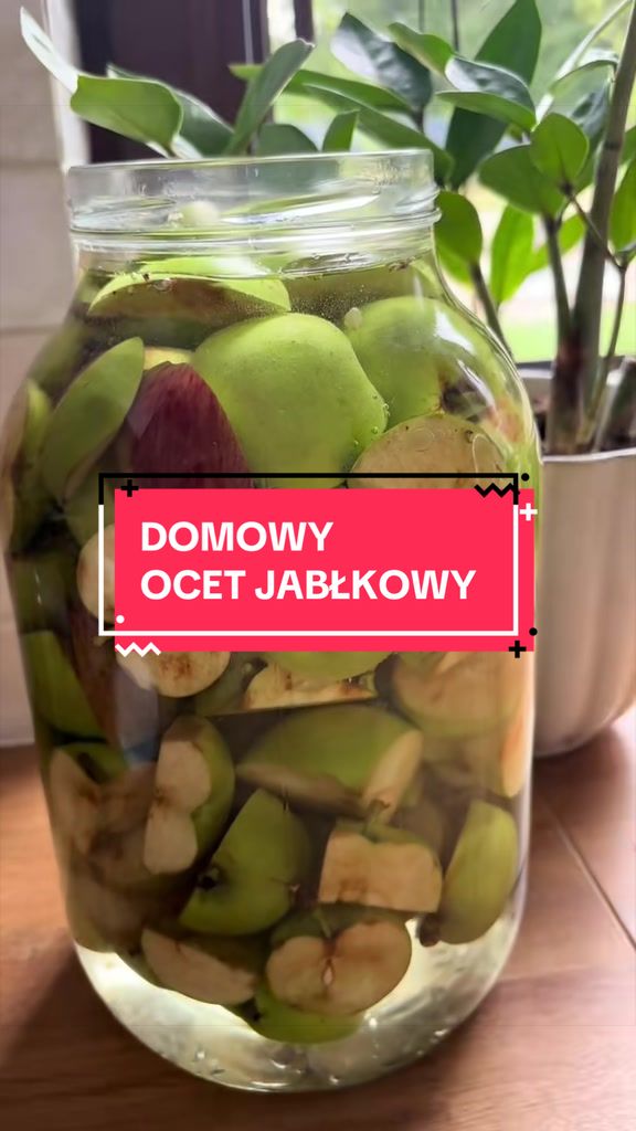 @zacznijodzdrowia.pl