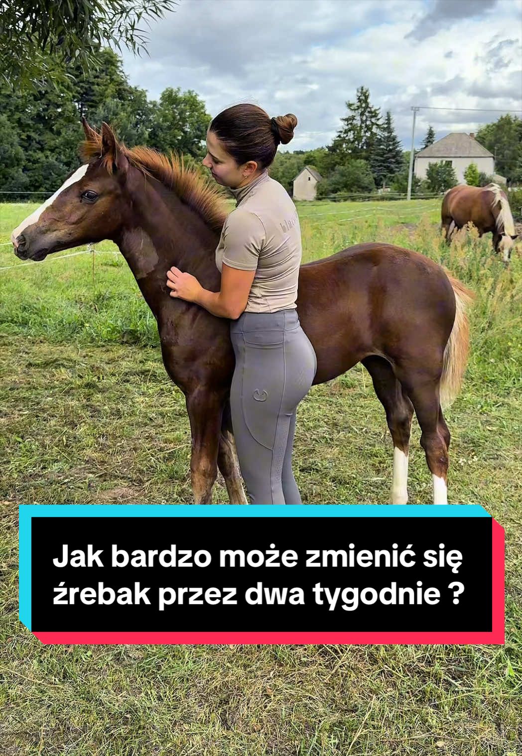 @Stado_Belli