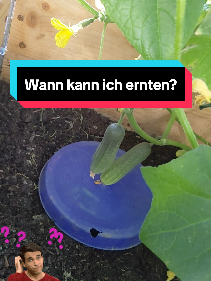 @Gartenchaos
