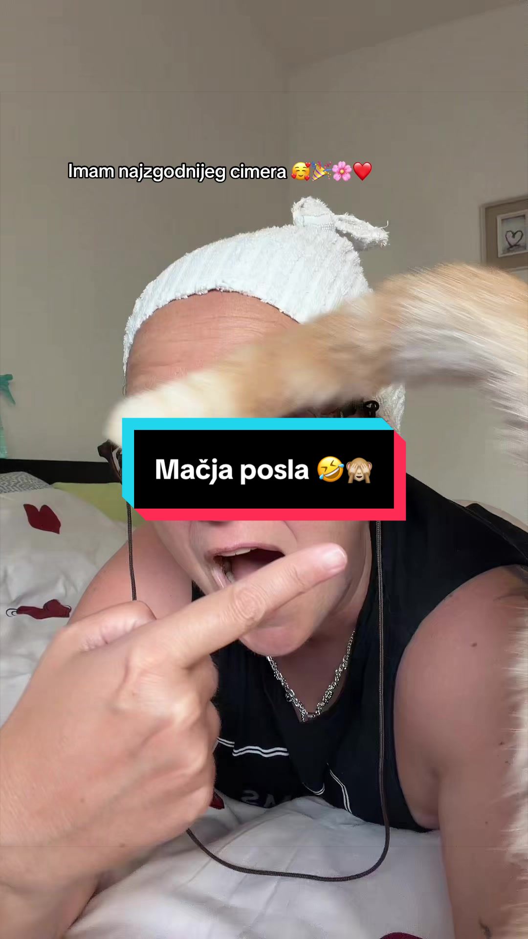 @MojiPsi (Fei the Husky)