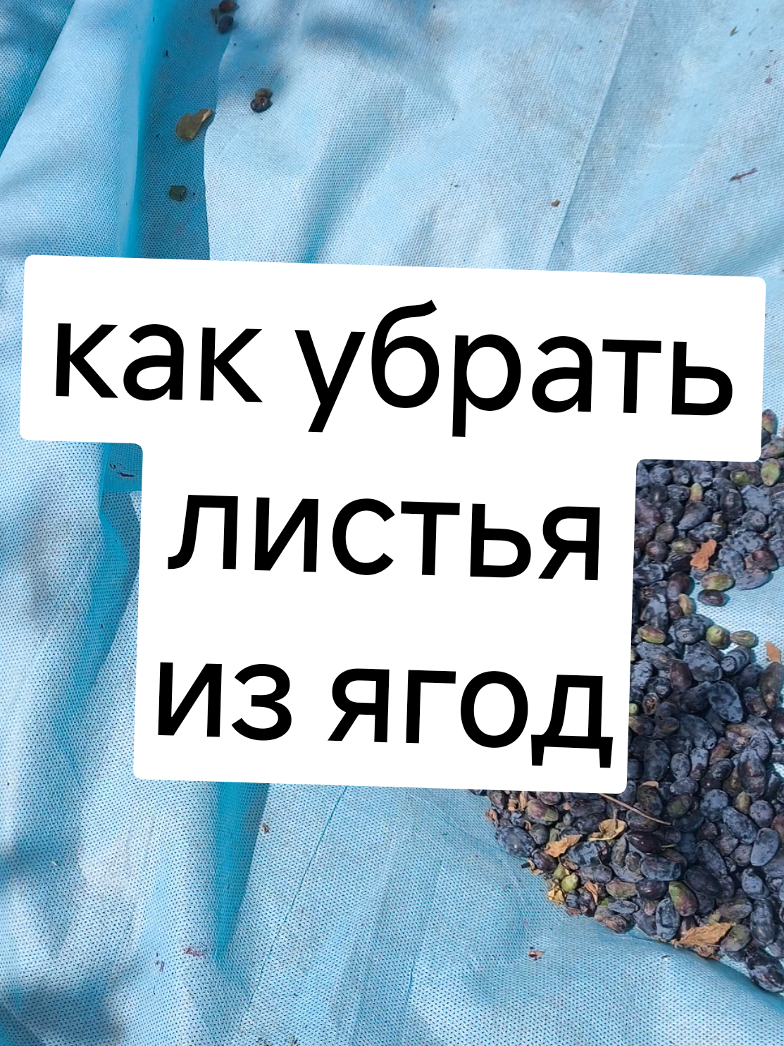 @Женя Садовая