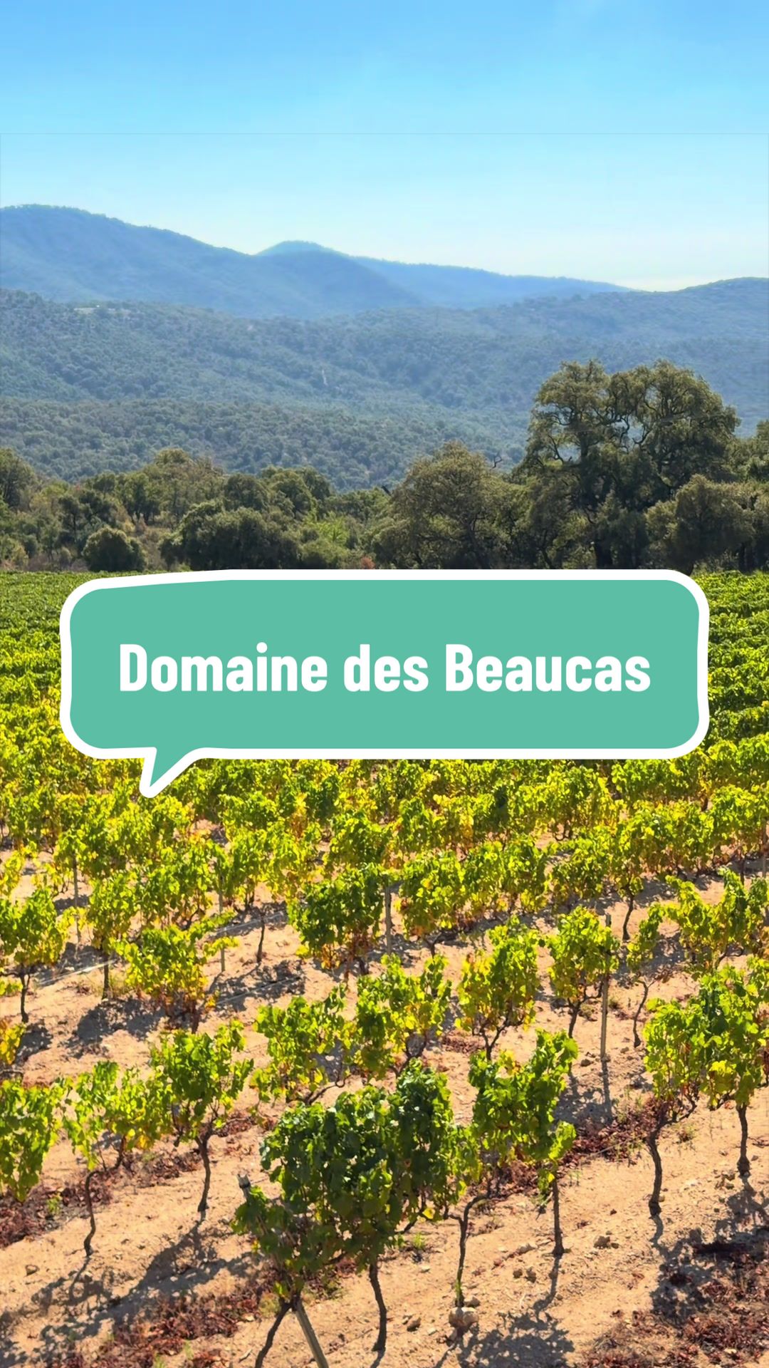 @saintemaximetourisme