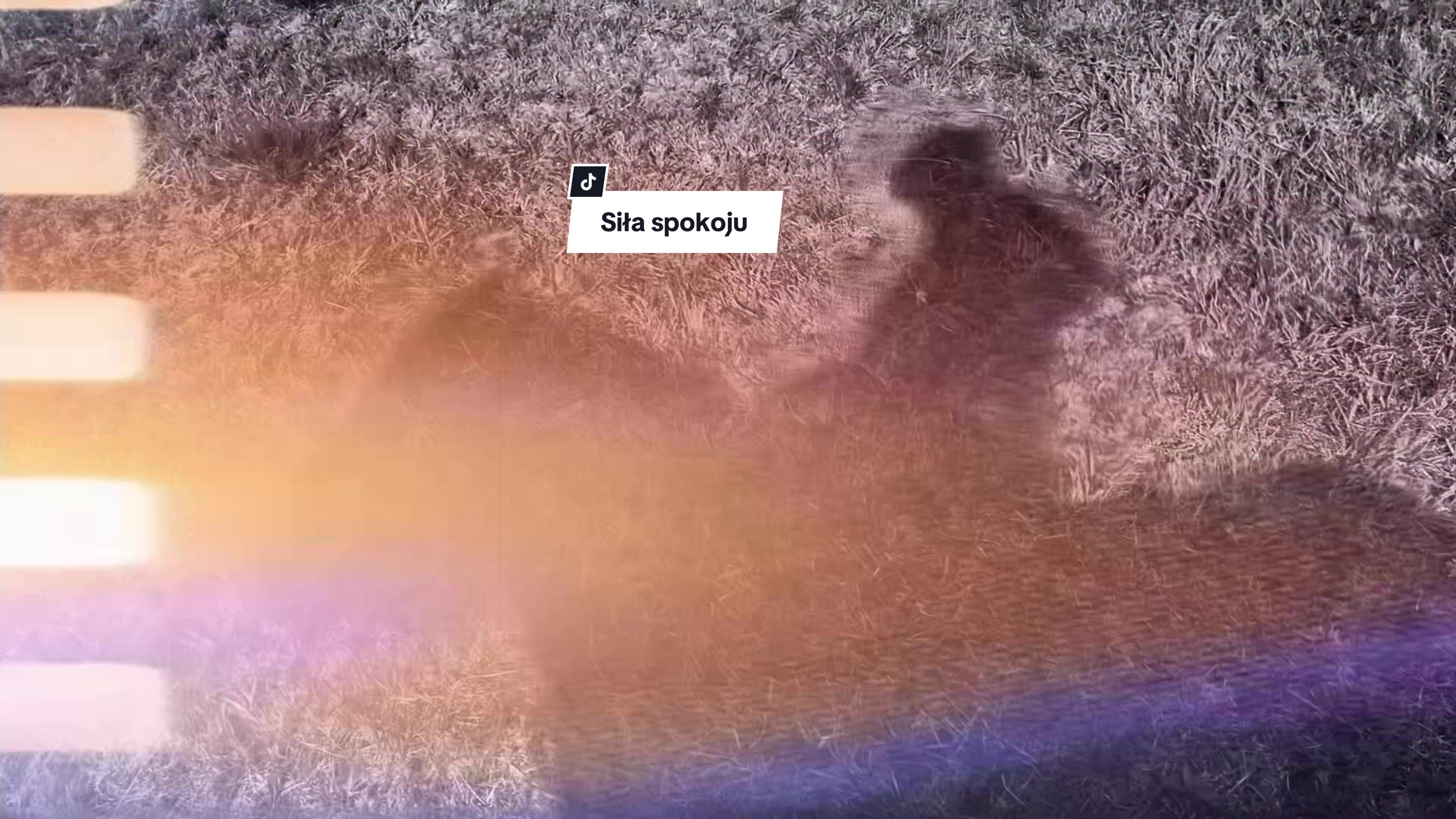 @KsiężycowaStajnia.VulkaDollArt