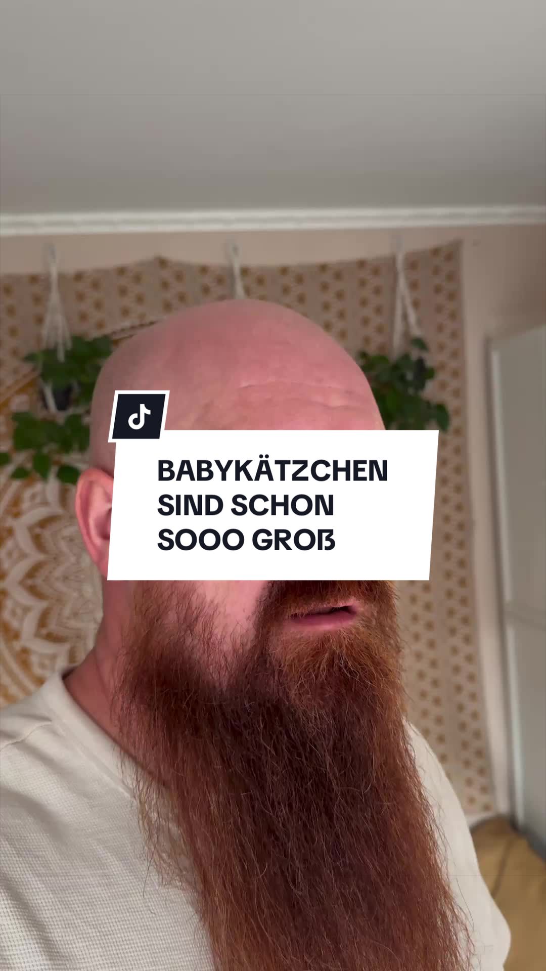 @Red Beard Dad