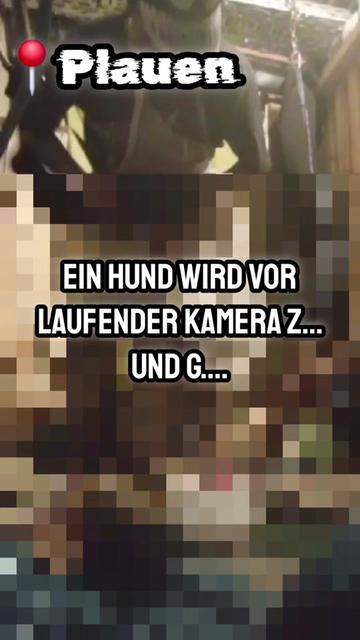 @Alex_L&ouml;wenherz🦁❤🦁