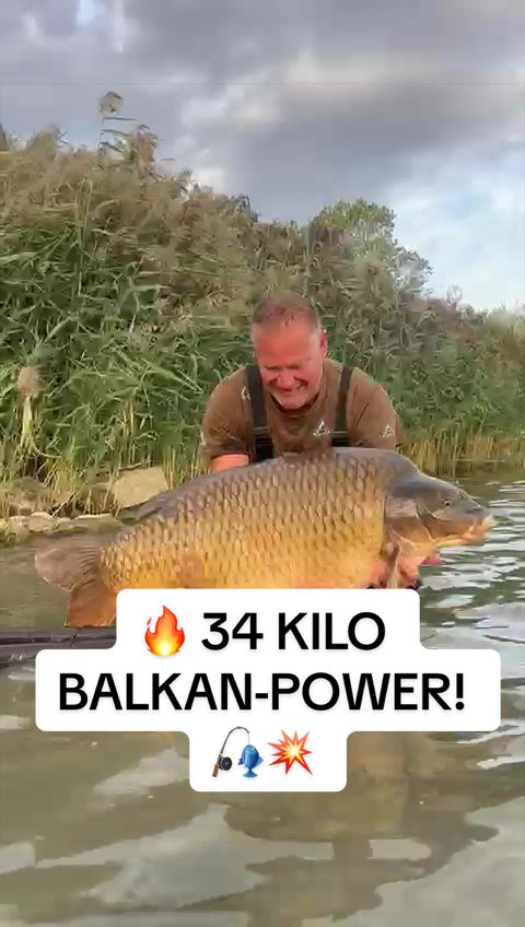 @anaconda.carp