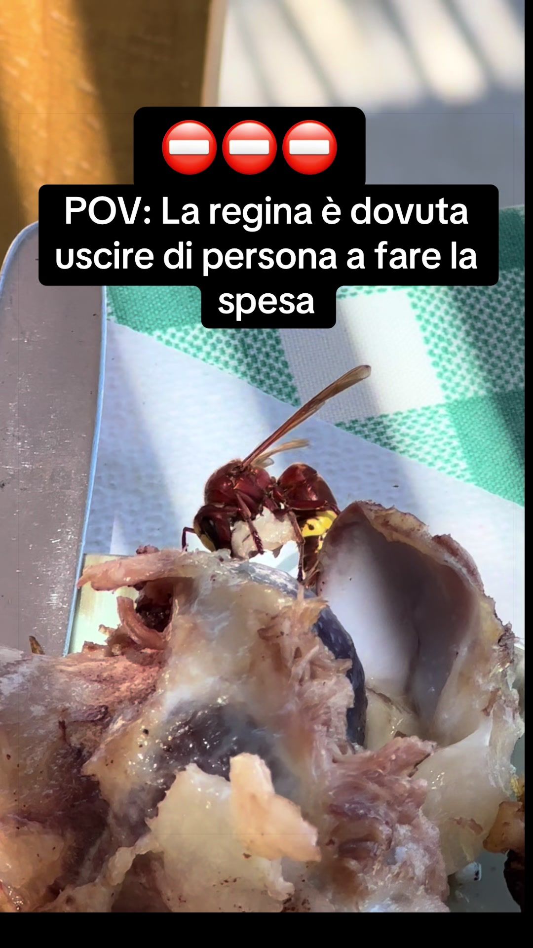@Mistica