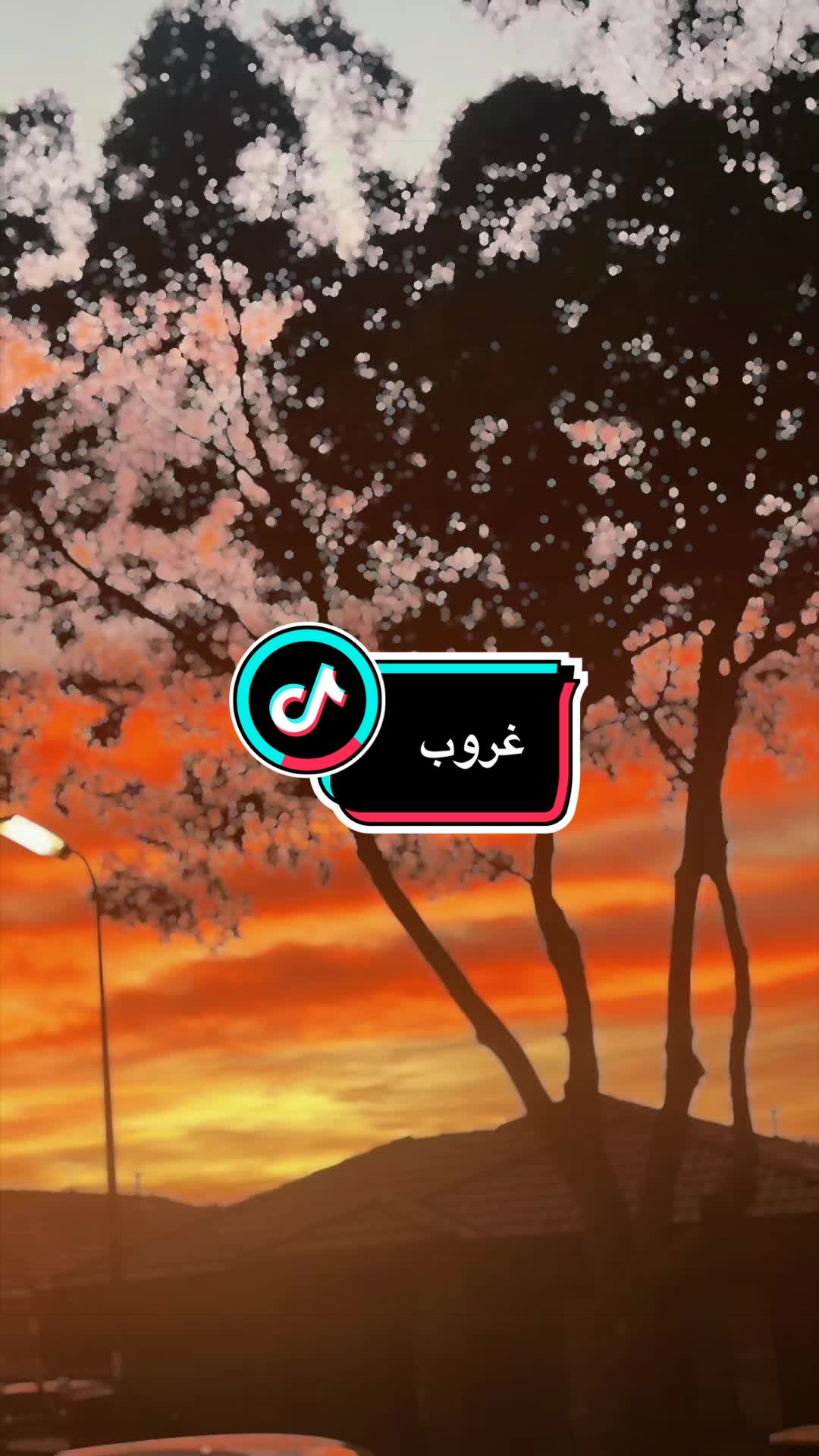 @NAHLA T jamel