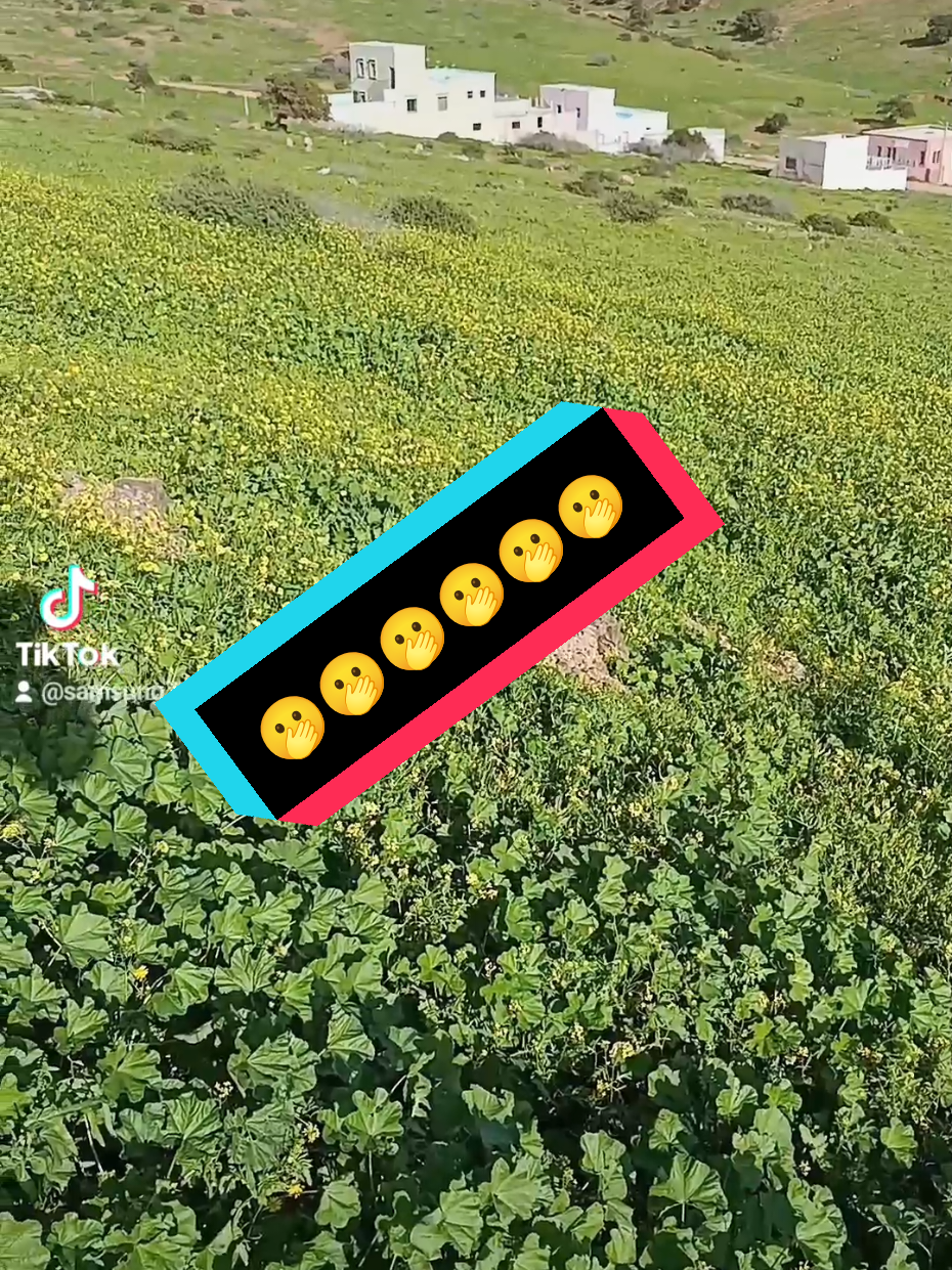 @Bouba🇲🇦مغربي